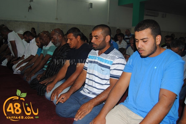 trawe7 zatona (8).JPG